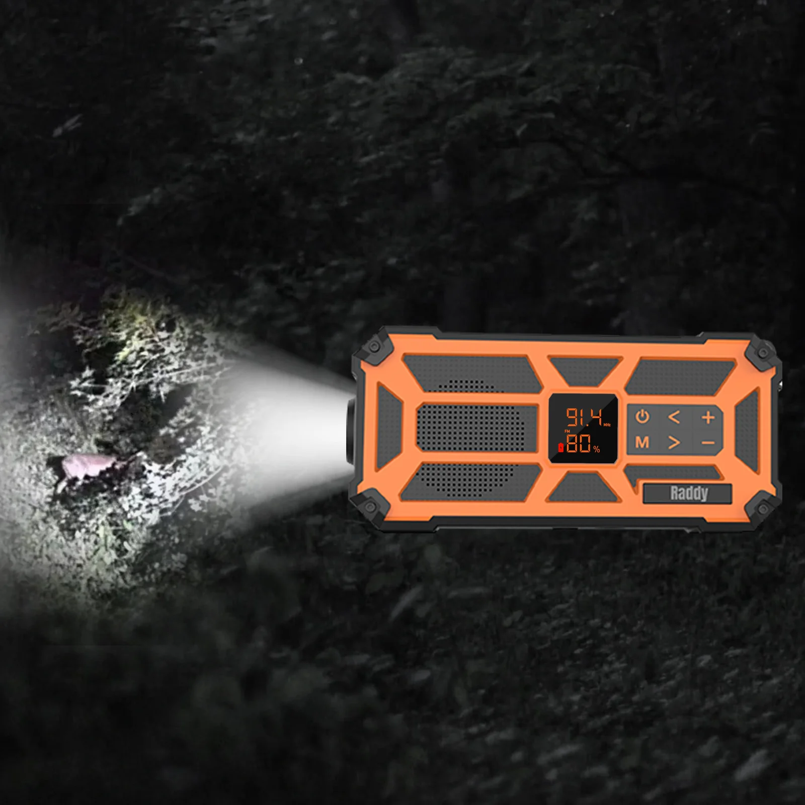 Thumbnail 11